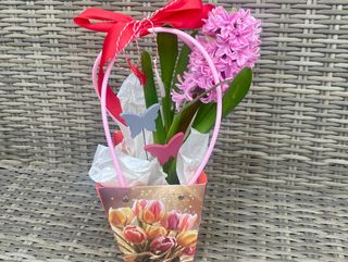 Poseta cu zambila roz