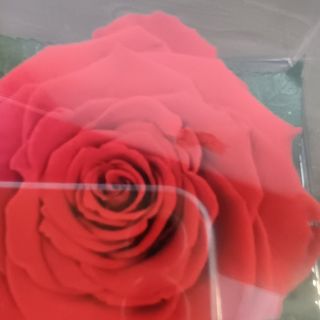 Trandafir Criogenat parfumat în cutie aranjat