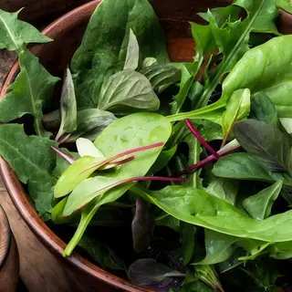 Salata verde