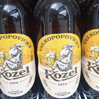 Kozel