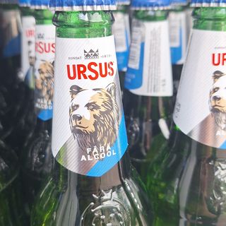Ursus fara alcool