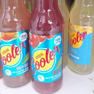 Ursus cooler fara alcool