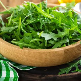 Rucola