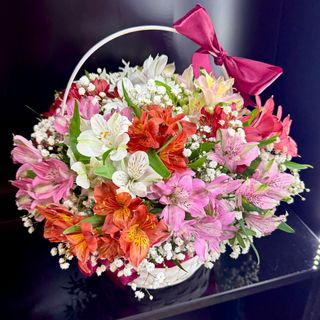 Cos “Astromeria”