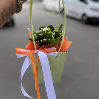 Kalanchoe la ghiveci