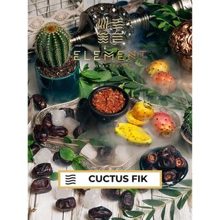Tutun narghilea Element Air – Cactus Fig 25g