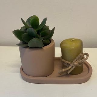 Aranjamnet in vasceramic cu Succulenta si lumanare