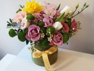 Cutie Spring