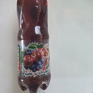 PRIGAT VISINE SI STRUGURI