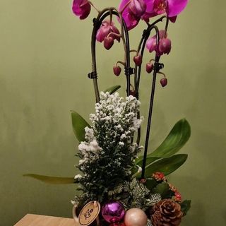 Aranjament cu phalaenopsis