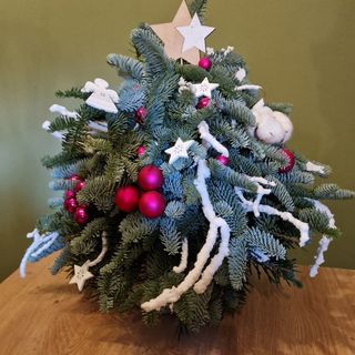 Brăduț "Fucsia and White"