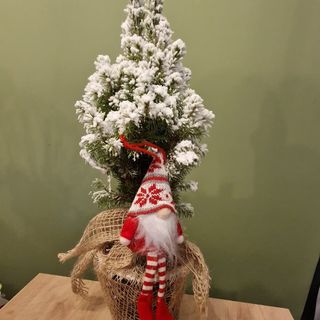 Brăduț în ghiveci