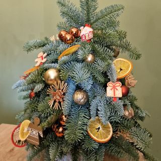 Orange Christmas tree