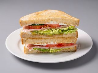 Sandwich Delicios