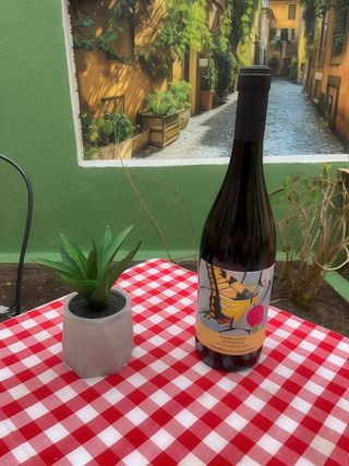 “Collezione la scuola del vigneto” Cantina Domini alb