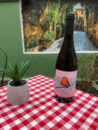 “Collezione la scuola del vigneto” Cantina Domini roze