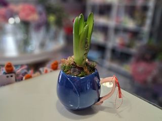 Martisor Bulbul Elegant