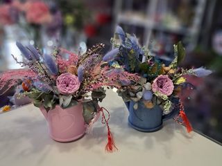 Martisor Stropitoare