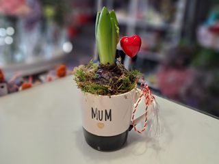 Martisor MUM