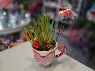Martisor Bulbi Muscari