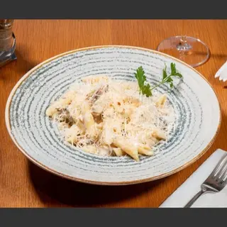 Penne Terra