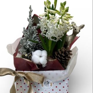 Aranjament alb cu zambila parfumată si bradut