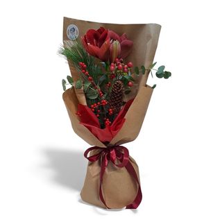 Crinul regal al iernii