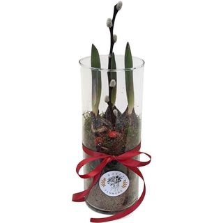 Lalele rosii in vas de sticla