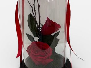 Cupola cu trandafiri criogenati