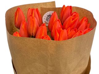 SUPERPROMO -Lalele proaspete (25 de fire)