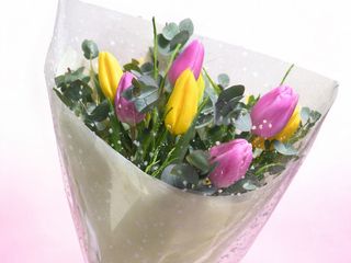 Buchet cu 7 Lalele Mix și Eucalyptus