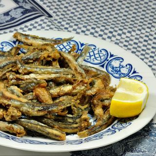 Hamsii