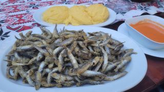 Hamsii cu mămăliguță și mujdei