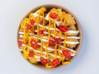 Chicken loaded fries