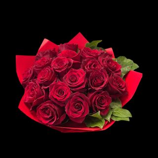 19 PREMIUM BIG ROSES