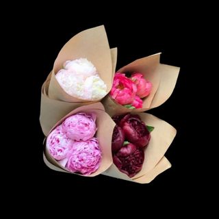 Buchet 3 Bujori Premium