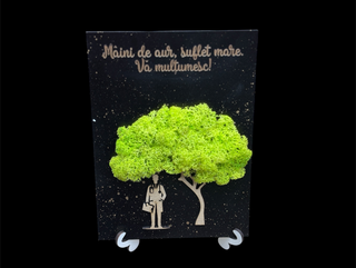 Tablou cu Licheni Medic 2