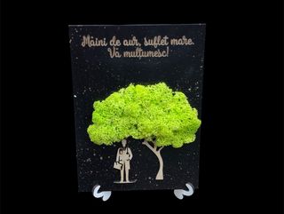 Tablou cu Licheni Medic 2