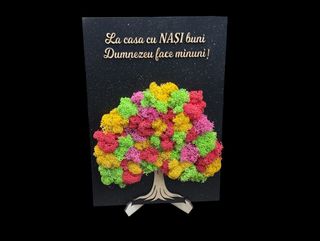 Tablou cu Licheni Nasii