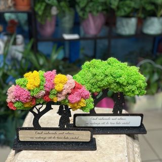 Un Cadou Perfect Pentru Cuplu