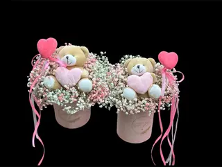 Gipso Pink Teddy