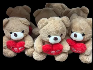 Teddy cu inima i love you