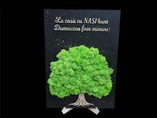 Tablou cu licheni Nasii 1