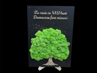 Tablou cu licheni Nasii 1