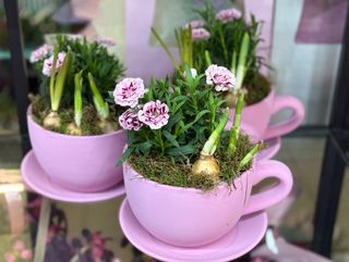 Primavara intr-o ceasca 3