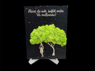 Tablou Licheni Medic 1
