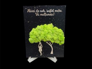 Tablou Licheni Medic 1