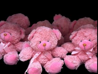 Pink Teddy