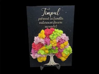 Tablou cu licheni Timpul