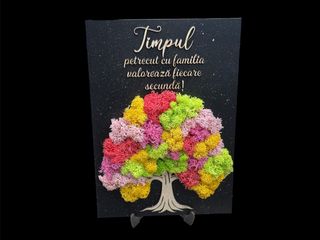 Tablou cu licheni Timpul